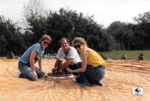 Working on the envelope